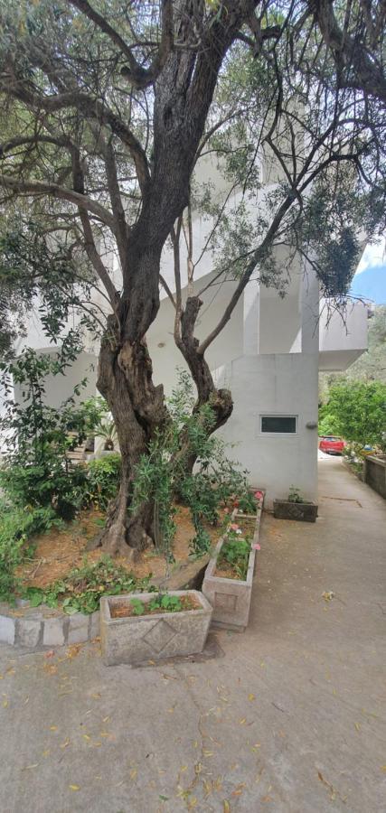 Guest House Mia Becici  Bagian luar foto